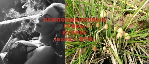 таблы Белокуриха