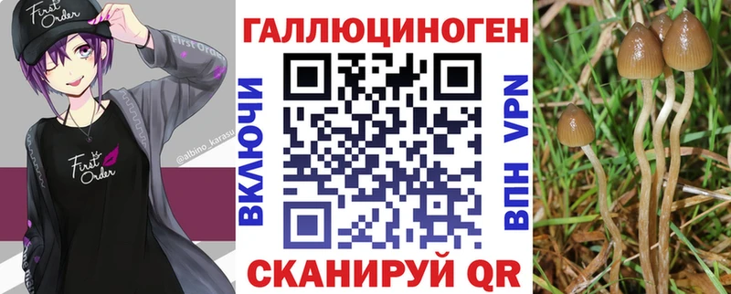 hydra tor  Болотное  Псилоцибиновые грибы Magic Shrooms 